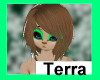 LC-Terra Hair 1 v2