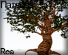 N| Acer
