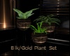 Blk/Gold Plant Set