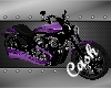 $KC$ Purple.Harley