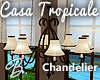 *B* Casa Tropical Chandl