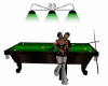 Pool Table With Poses