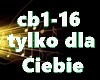tylkodla cb cb1-16