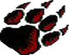 Panther Paw