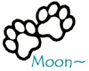 Snow Moon Pet Sticker