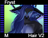 Fryst Hair M V2