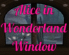 Wonderland WIndow