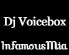 Dj Voice Box