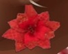 Poinsettia earrings