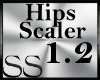 *SS Hip Scaler 1.2