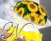 ~N~ Sunflower Posey