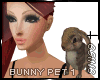 S N Bunny Pet 1