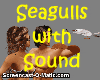 ! Seagulls ~ with sound