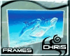 Frames - Dolphin x4 