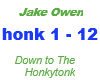 Jake Owen /Down to the