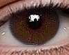 ✔ Eyes