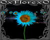dj light cyan tournesol