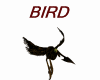 SCAVENGER BIRD AVATAR