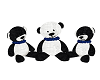 Panda Cuddles trio