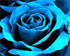 Sparkly Blue Rose