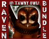 (F) TAWNY OWL BUNDLE!