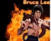 Bruce Lee Kick Boxin Bag