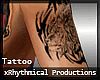 [R] Tribal Lion Tattoo