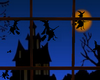 [cor] Halloween window