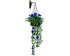 Blue Hanging Flowers