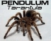Pendulum - Tarantula