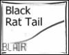 ฺBlack Rat Tail Avi