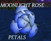 Moonlight Rose Petals