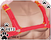 [Pets] Cass | harness v1