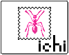 Pink ant