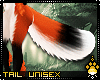 !F:Foxy: Tail 2