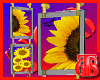 (T68) Sunflowers