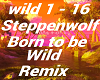 Born To Be Wild  Remix