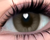Nivia Brown Eyes