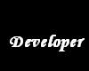 Developer T