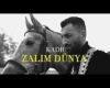 IISRYI e Zalimm
