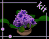 [Kit] Valley Flower