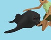 CK Dark Seal