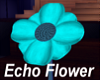 Echo Flower