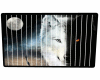 Wolf Animations Pic 124