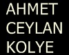 AHMET CEYLAN KOLYE