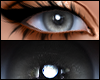 Kz Realistic Gray ♥