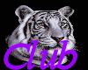 (MA)White Tiger Club