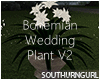 Bohemian Wedding Plant 2
