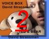 David Strassman 2