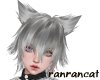 +silver hair cat F